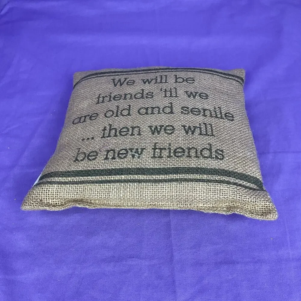 Burlap Friendship Accent Pillow - Funny Best Friends Quote Decor Pillow